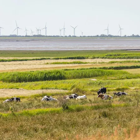 Nordsee & Wald * Husum (Schleswig-Holstein)